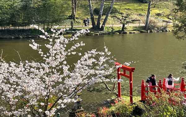 Parc Oriental de Maulevrier - credit photo Vincent Ripaud - agence Skillvalley - 10bd