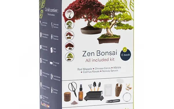 bonsai-premium-cultivea