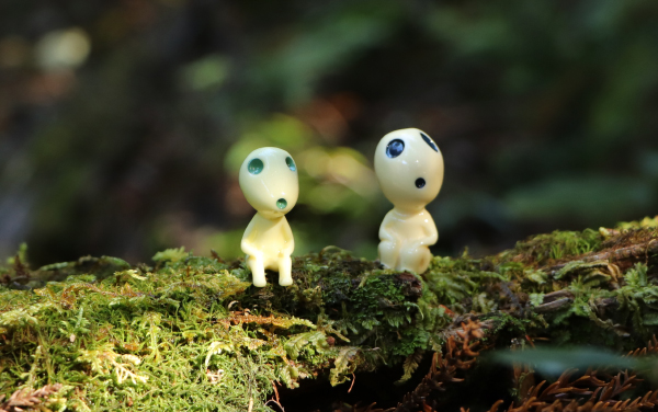 Yakushima, Japan -October 2017: Yakushima moss forest. Hayao Miyazaki's inspiration for Princess Mononoke's enchanted forest.